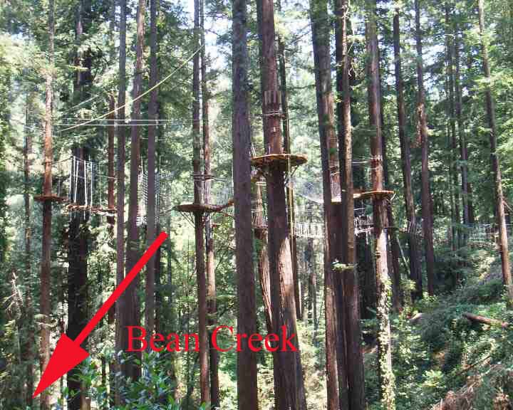 MOUNT HERMON ROPES COURSE DESECRATION OF THE FOREST